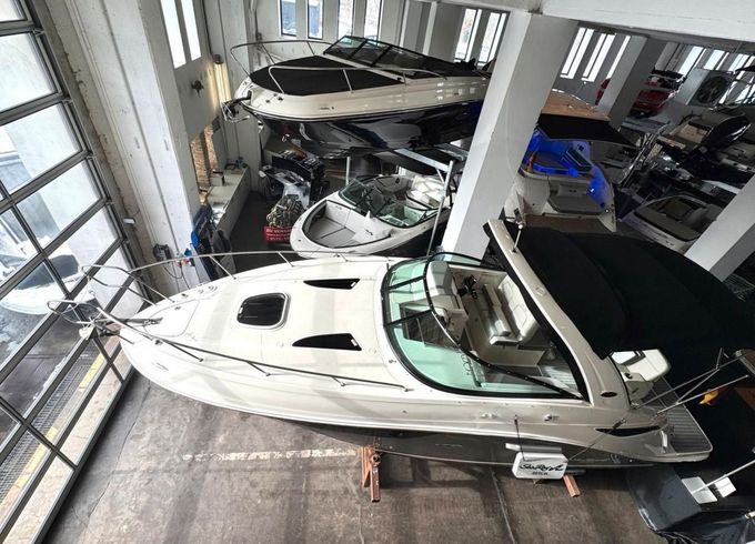 Sea Ray 265