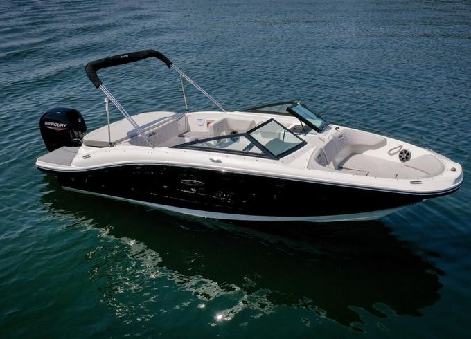 Sea Ray SPX 190 OB