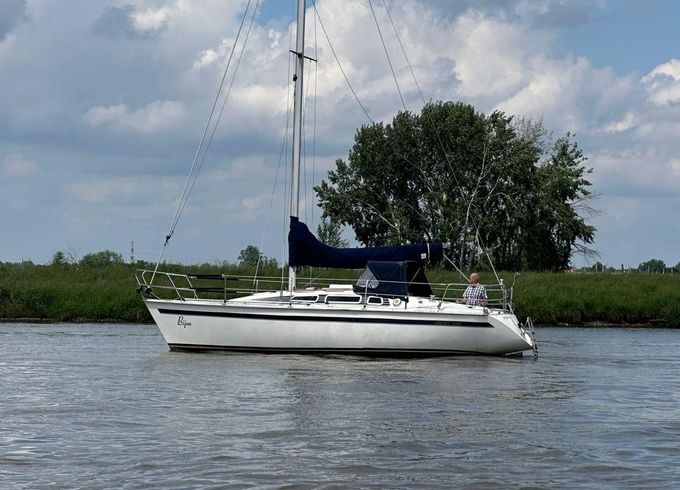 Jouet 920