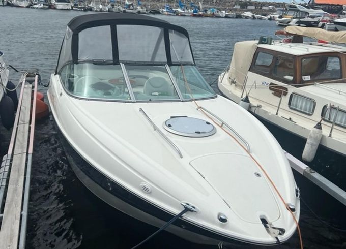 Bayliner Cuddy 802