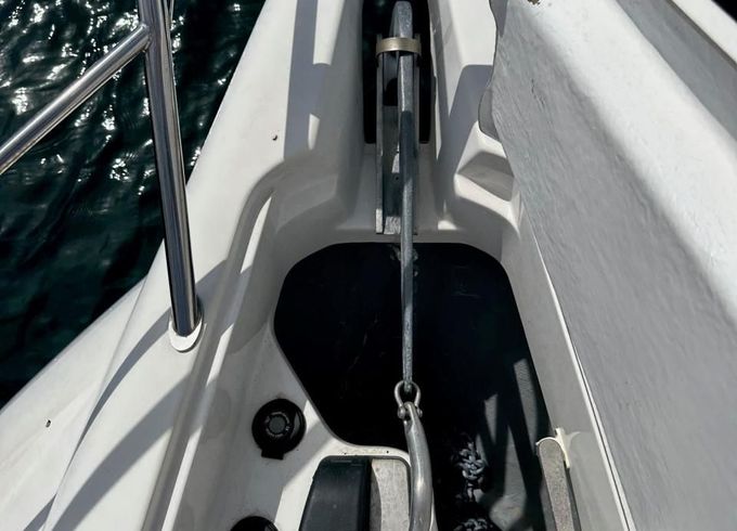 Sessa OYSTER 40