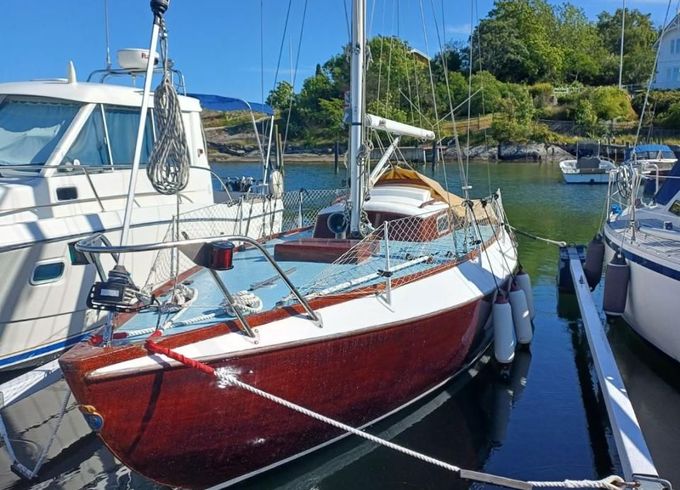 Havskryssare