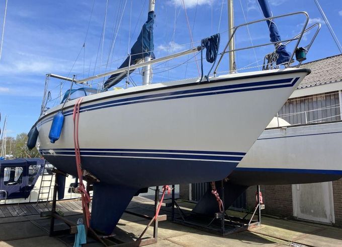 Sunwind 31