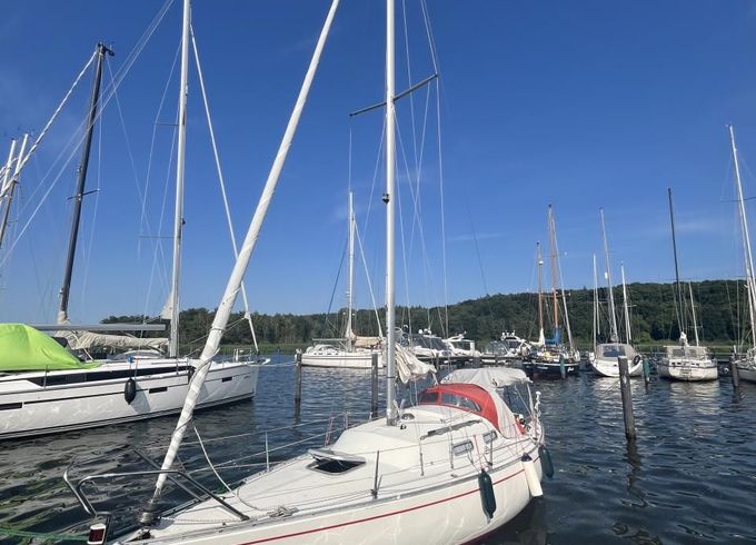 Albin Accent 26