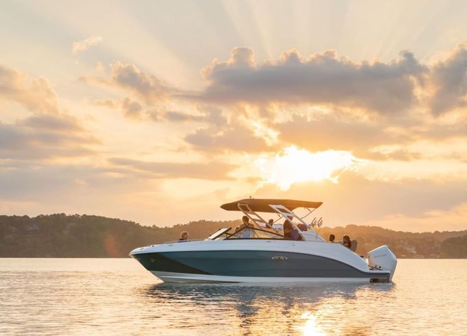 Sea Ray SDX 250