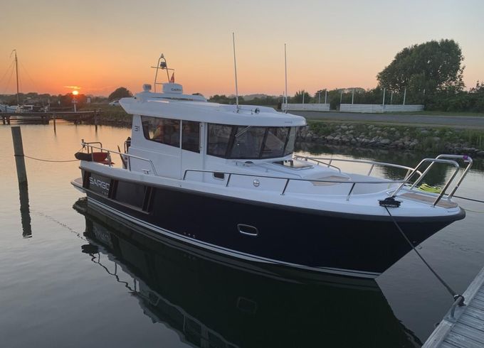 Sargo 31
