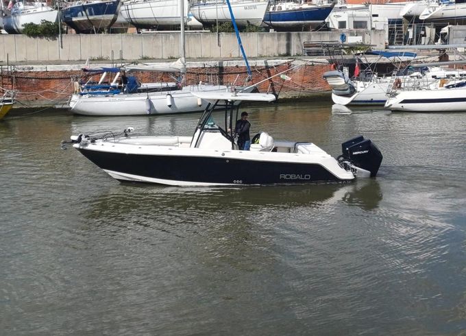 Robalo 260