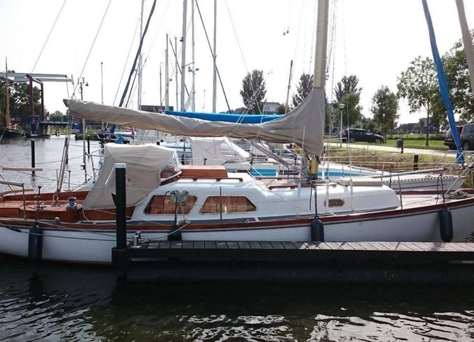 Delphin 66