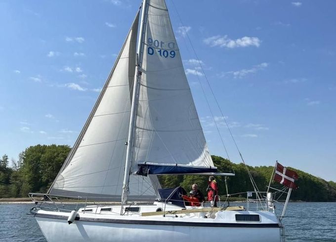 Compass 31