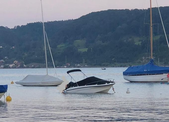 Trident Boats Sundeck 530