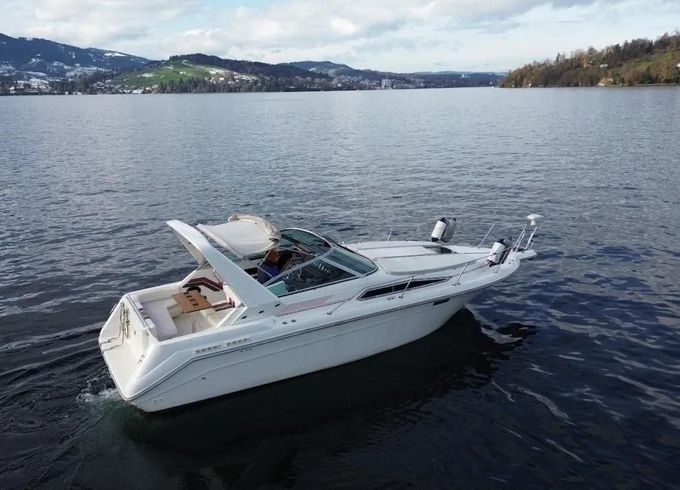 Sea Ray Ray 270 DA