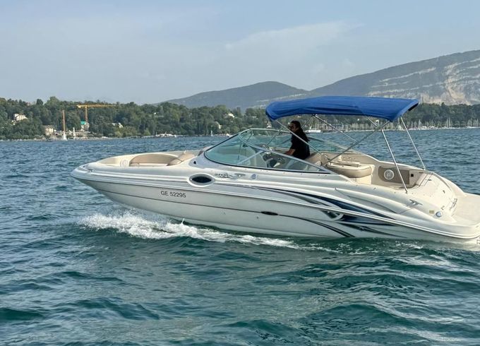 Sea Ray 270 SD