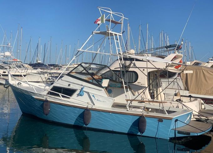 Striker 29