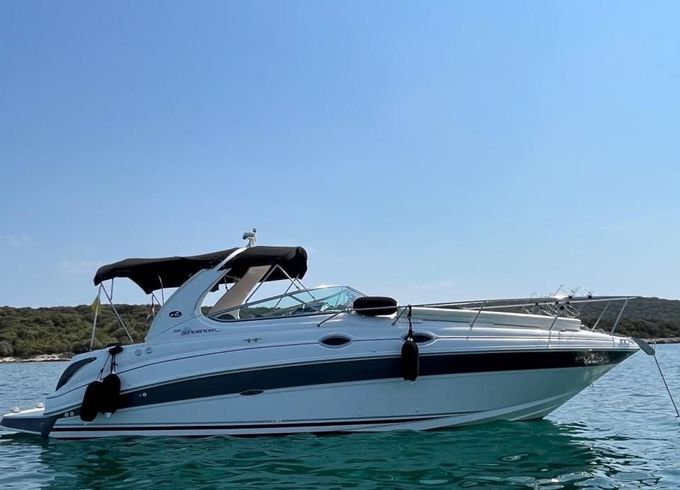 Sea Ray 315 Da