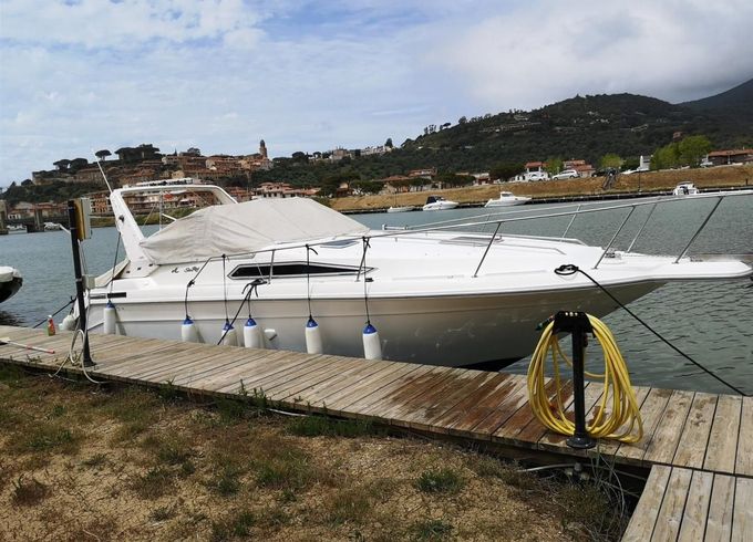 Sea Ray 290 DA
