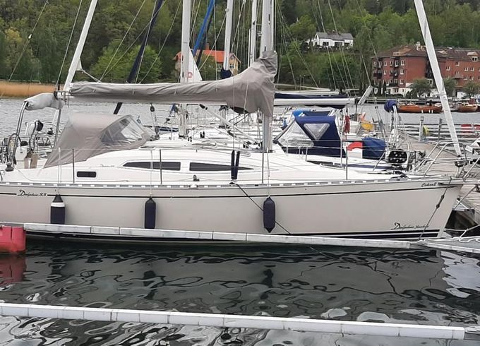 Delphia 33