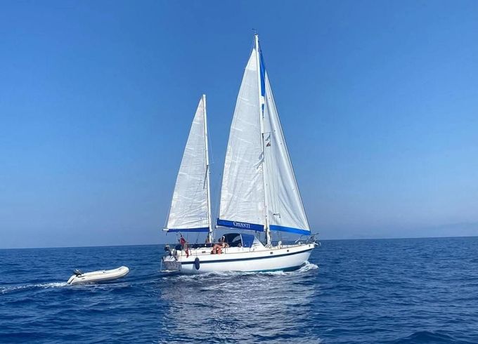 Alpa 42