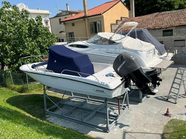 Boston Whaler 200 DAUNTLESS