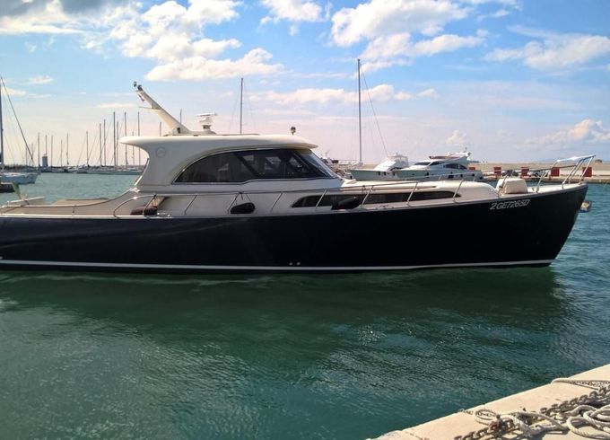 Mochi Craft Dolphin 51