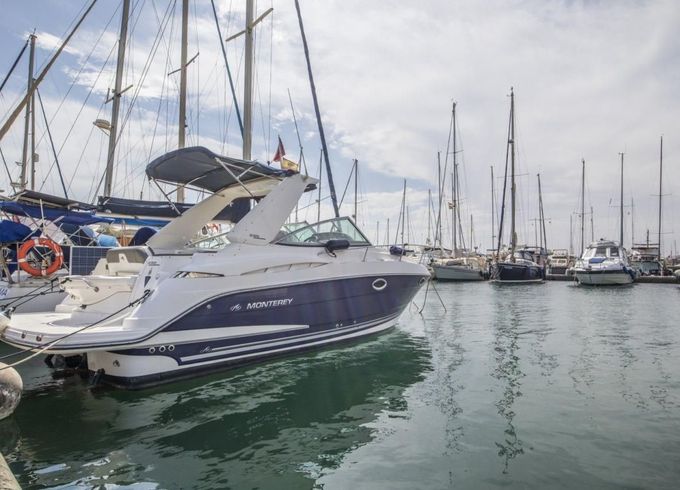 Monterey 295 SCR
