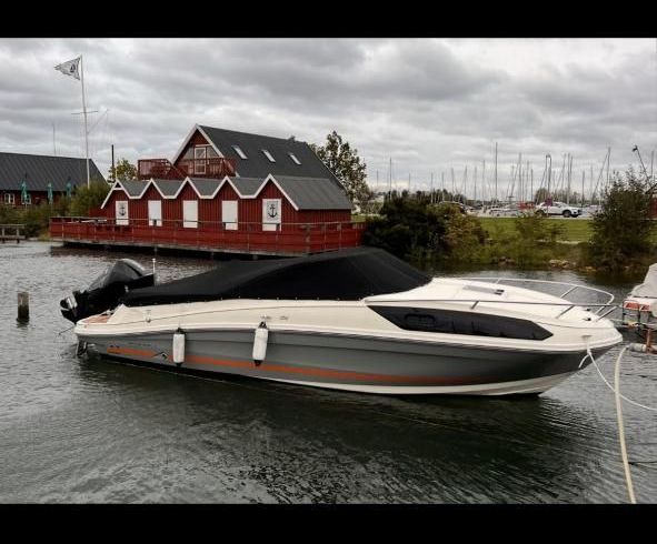 Bayliner Cuddy