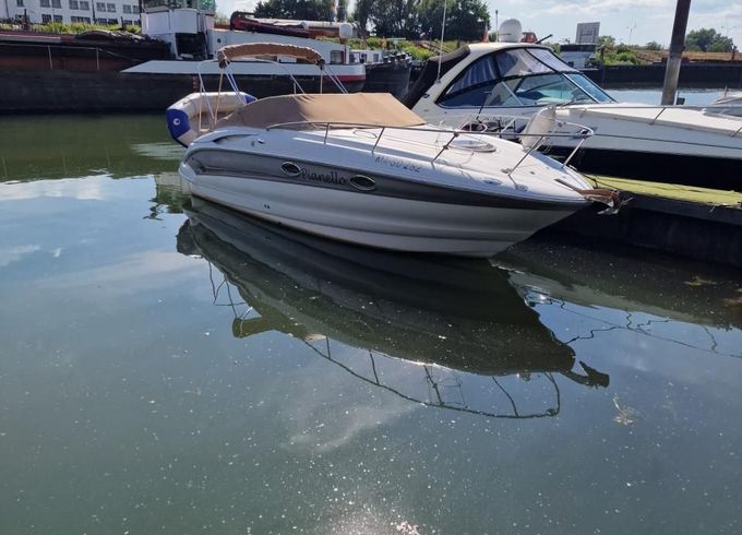 Crownline 250