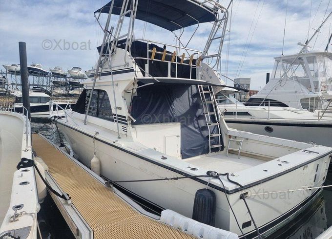 Blackfin 38 CONVERTIBLE