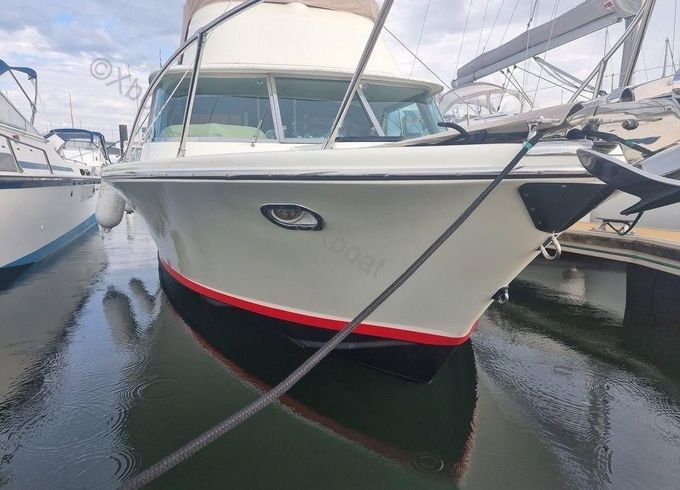 RIVA BERTRAM 25 SPORT FISHERMAN