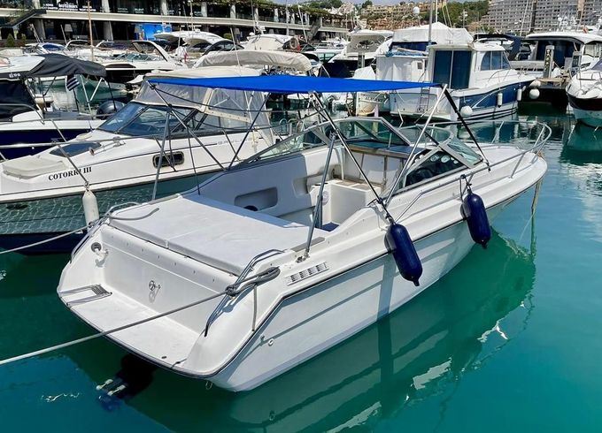 Sea Ray 230