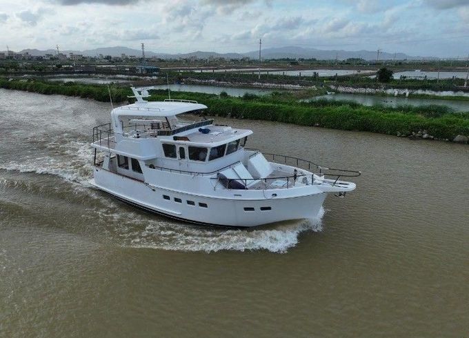Selene 46'