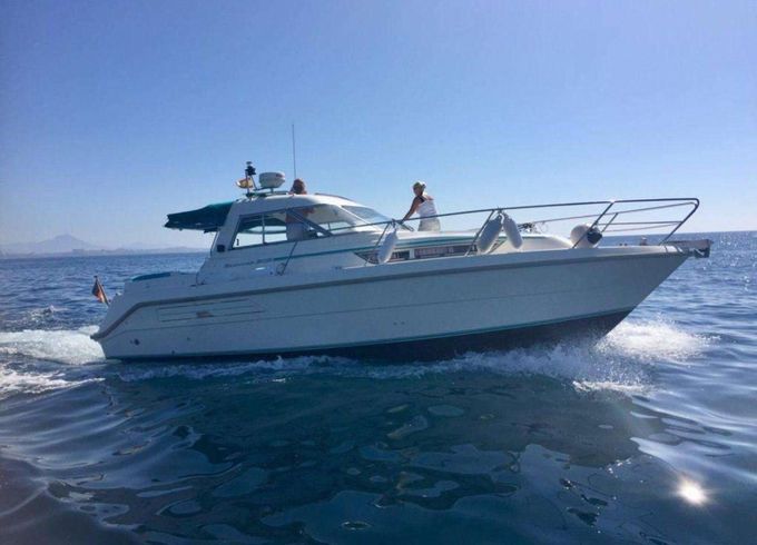 Hardy Seawings 305