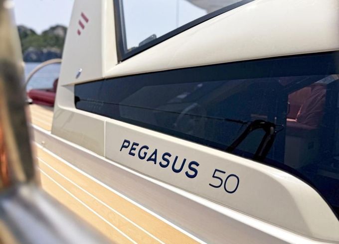 Pegasus 50