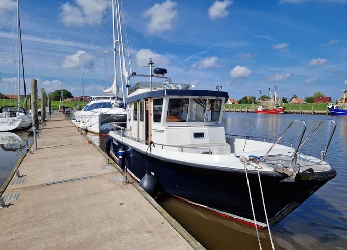 Targa 31