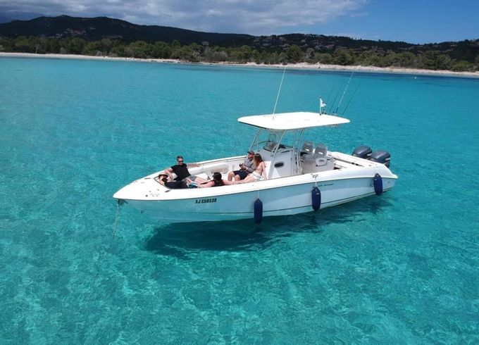 Boston Whaler 320 Outrage