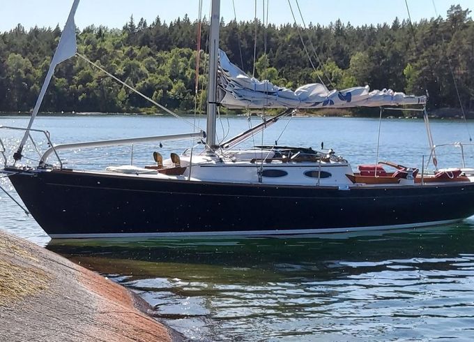 Express 28