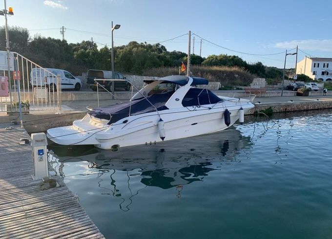Sea Ray 290ss