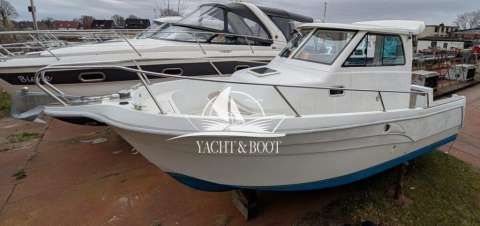 Quicksilver Active 430