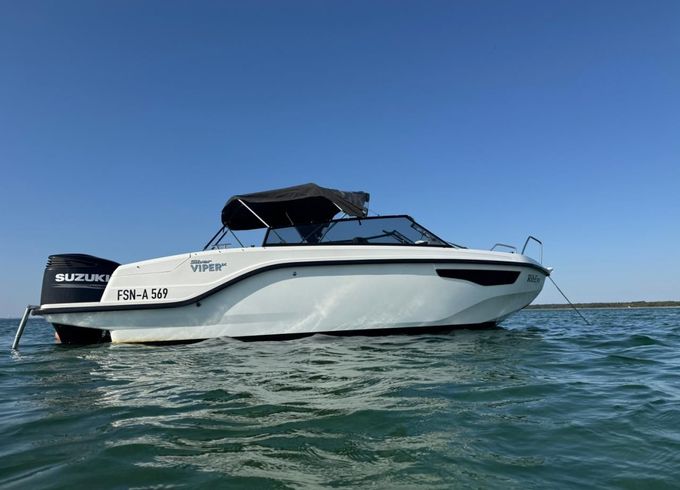Silver Viper DcZ