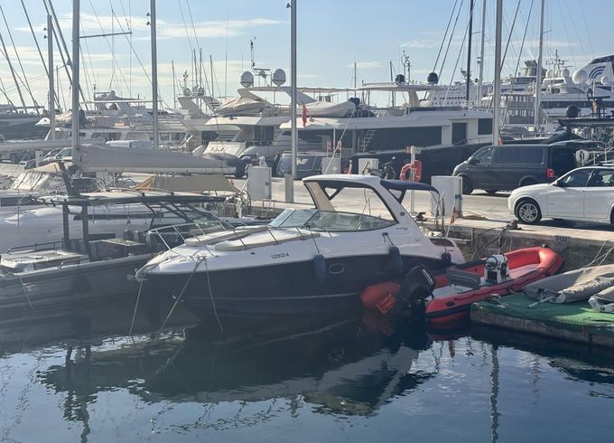 Sea Ray Sundancer 310