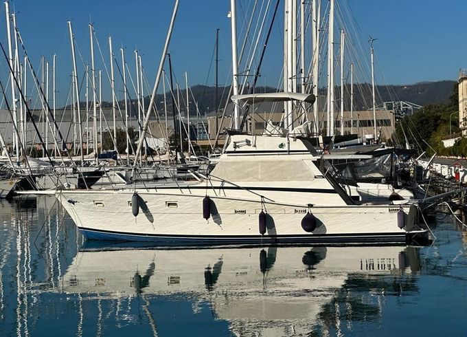 Viking 40