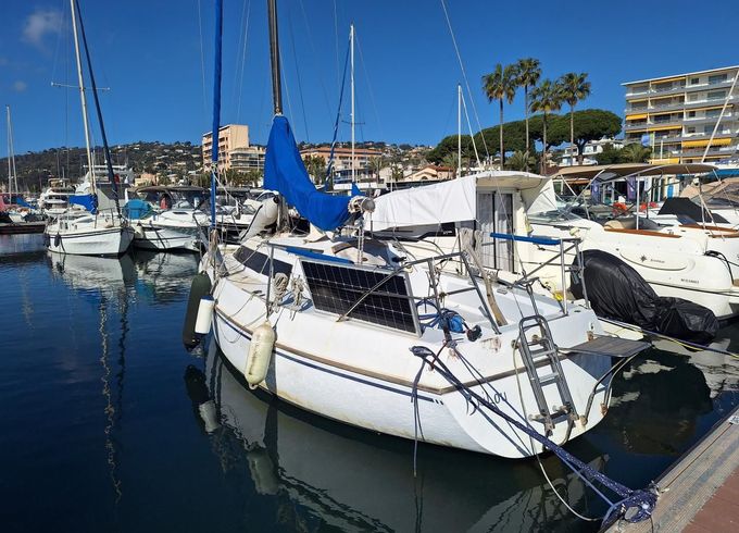 Arcoa Tarentelle