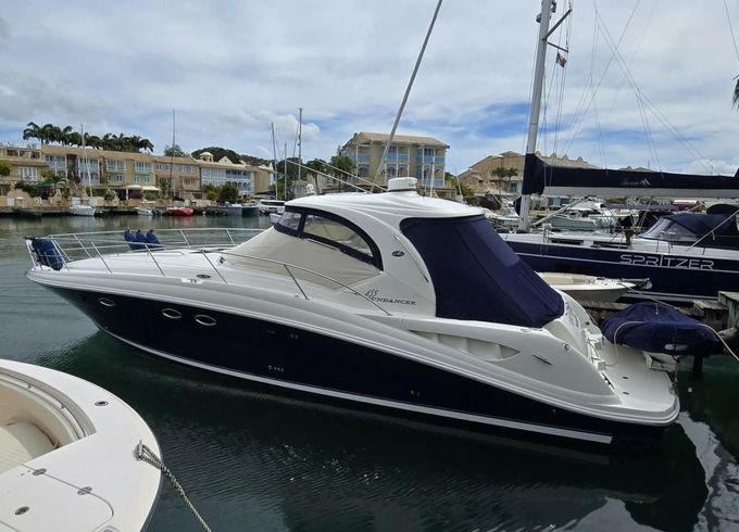 Sea Ray 455