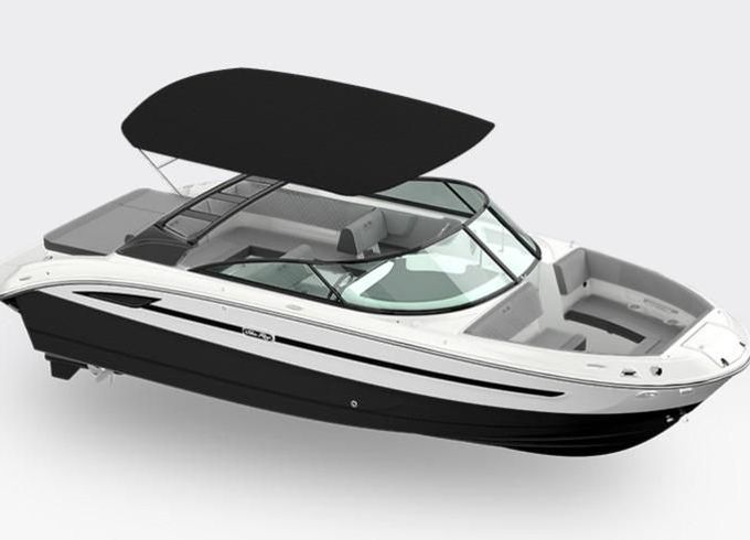 Sea Ray SDX 250 SURF