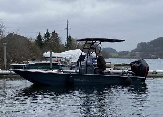 Swiss Cat 21