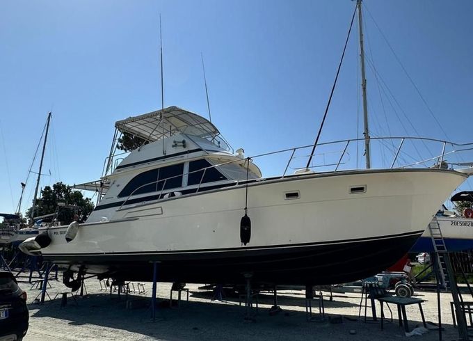 Bertram Yacht Bertram 46.6