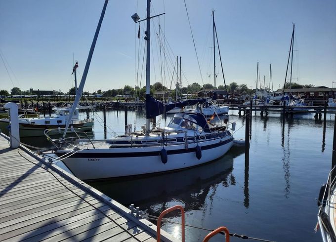 Zaadnoordijk Compromis 888