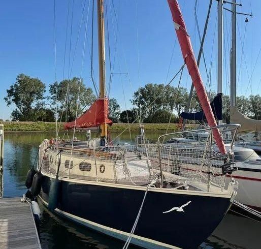 Blauwvoet Custom Steel 10 Meter