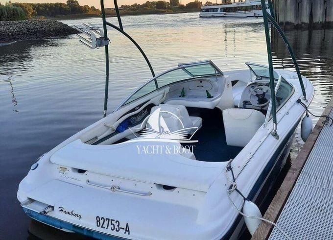 Sea Ray 190