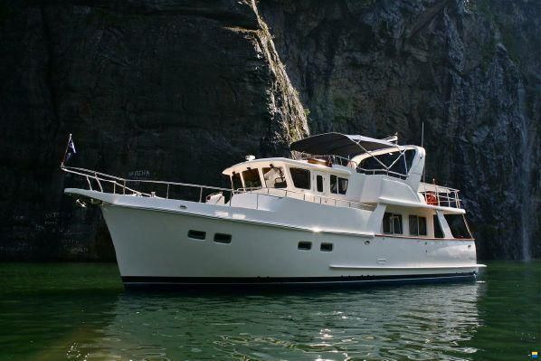 Selene 49