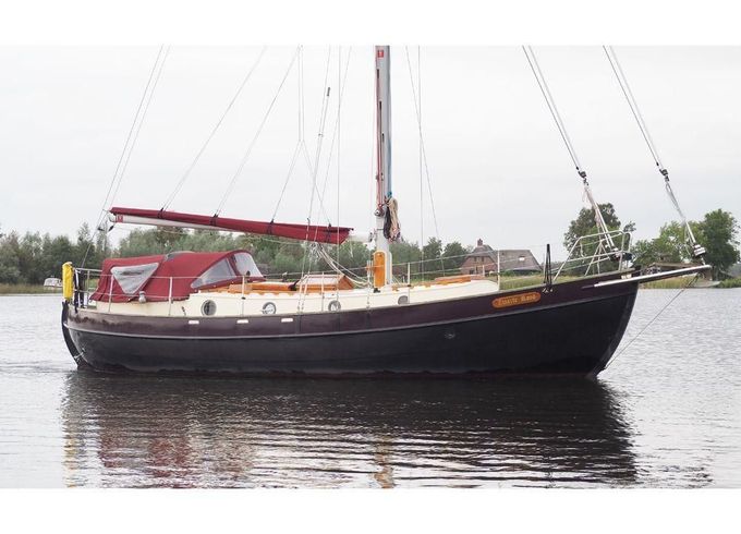 Danish Rose 33